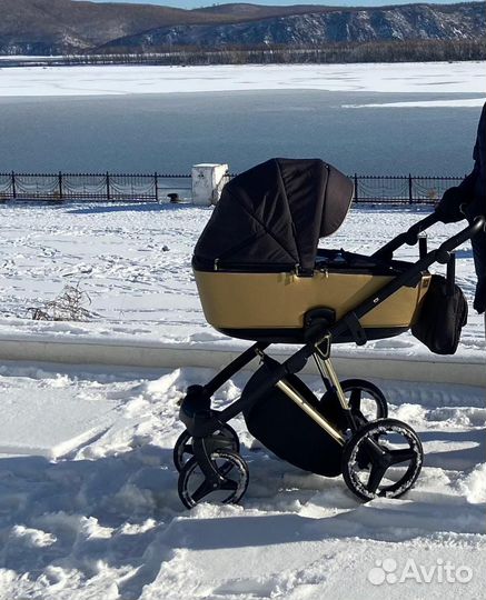 Коляска 2 в 1 adamex
