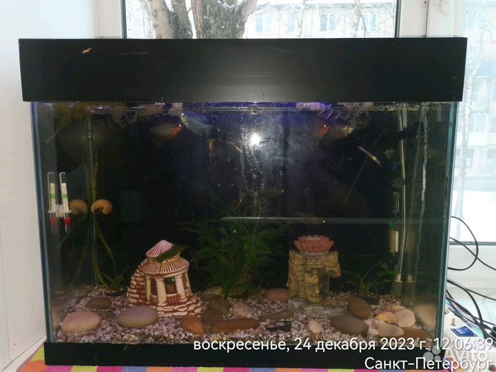 Аквариумы