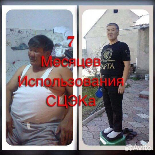 Сцэк - стимулятор циркуляции энергии И крови