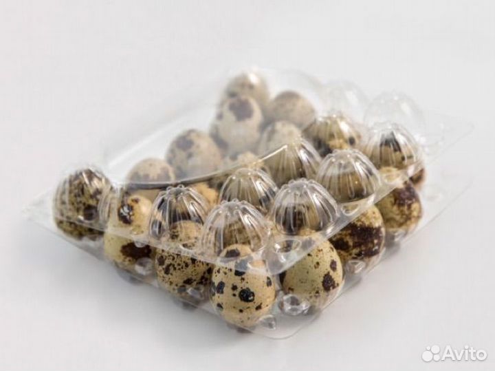 Контейнеры упаковка ячейки для перепелиных яиц