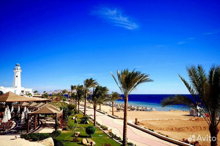 Турпутевка в г. Шарм-Эль-Шейх от 6 дн