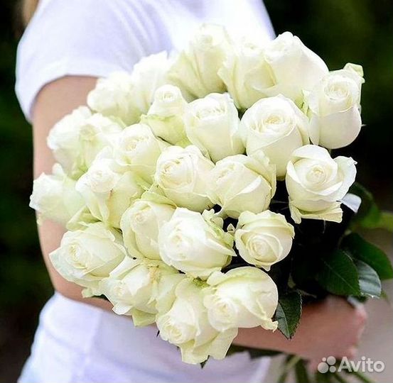 Высокие розы Гигантские Розы 150 160 170 180 190см