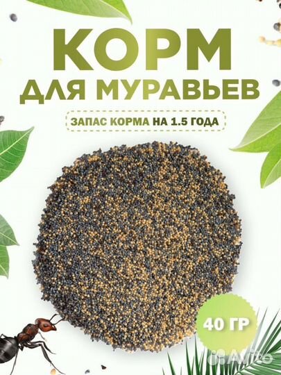 Корм для муравьев