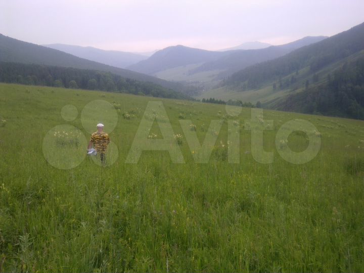 Участок 20 га (СНТ, ДНП)