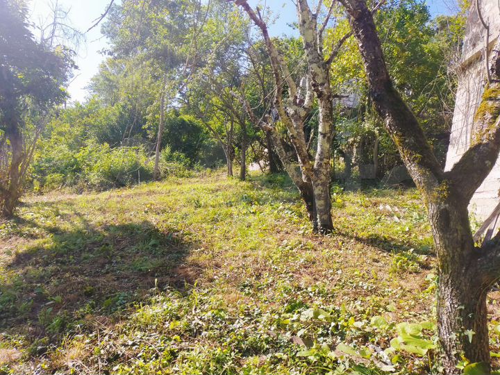 Участок 10 сот. (СНТ, ДНП)