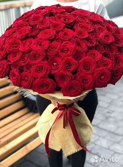 Высокие розы