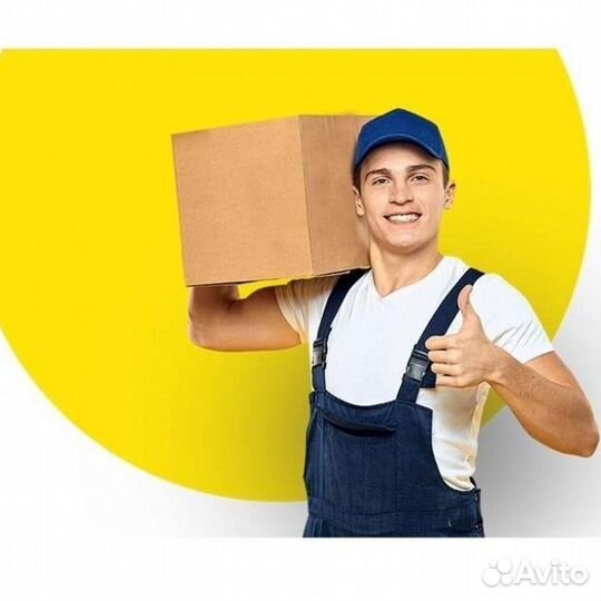 Дворник, частая зп, без опыта (в)