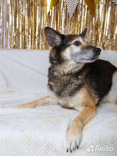 Ласковый и спокойный Зайчик