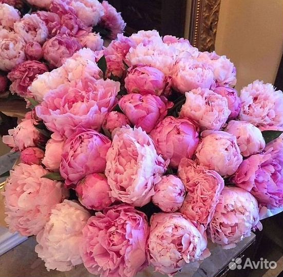 Пионы Цветы Доставка