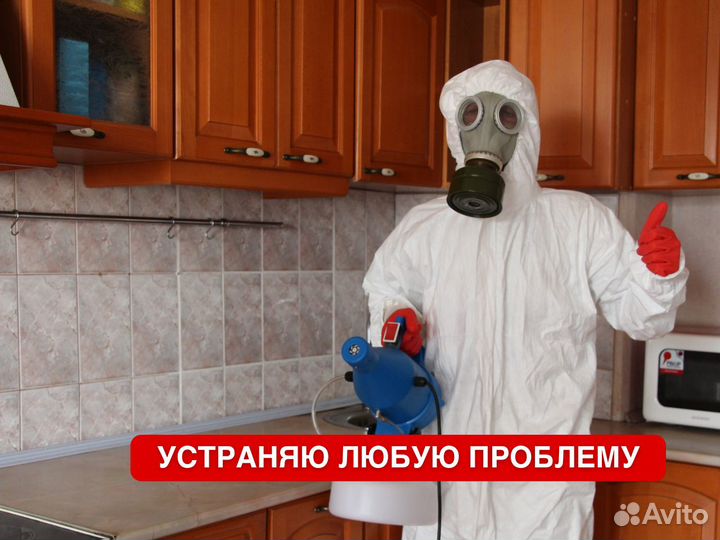 Уничтожение тараканов дезинфекция