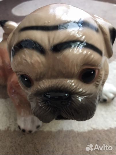 Копилка собака