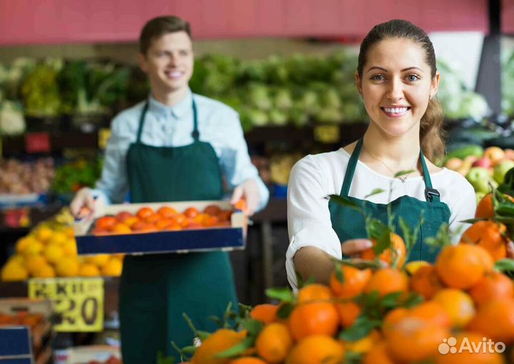 Выкладка товара / Еженедневные выплаты