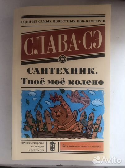 Слава Сэ 
