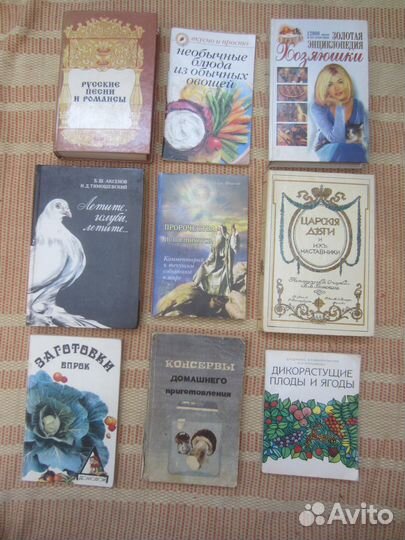 Марк Финли. Твёрдое основание. 2007 год