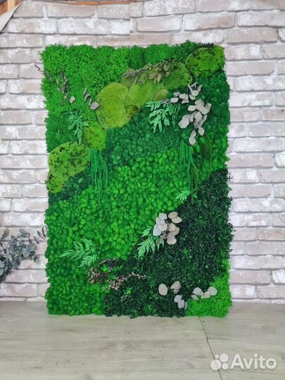 Мох стабилизированный оптом и в розницу