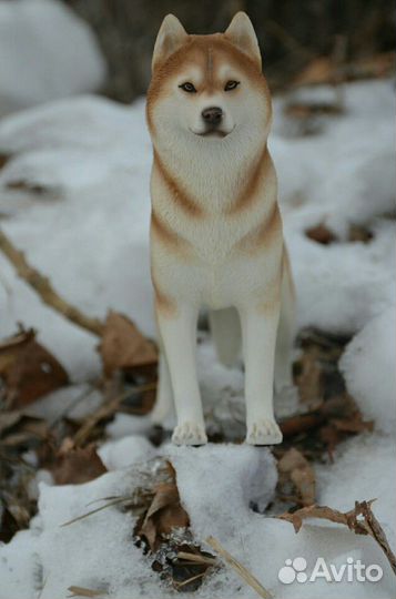 Фигурка фирмы Mr.Z хаски масштаб 1/6 новый