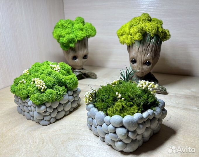 Кашпо со стабилизированным мхом - Грут, Полянка