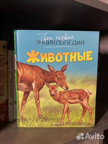 Энциклопедия для детей