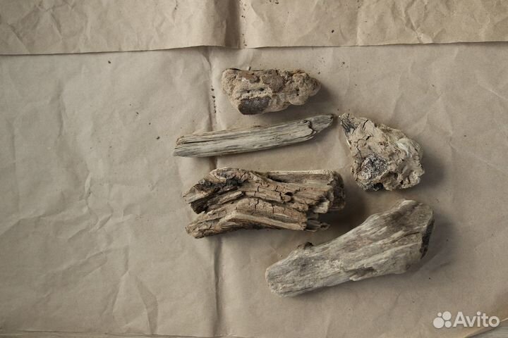 Палки деревяшки коряги для творчества дрифтвуд