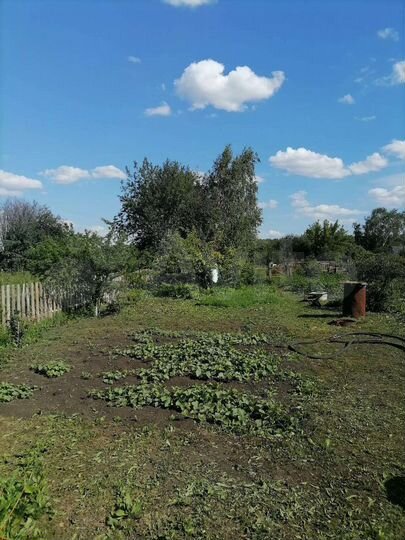 Участок 6 сот. (СНТ, ДНП)