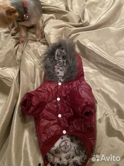 Комбинизон бордовый