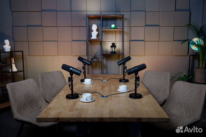 Запись интервью