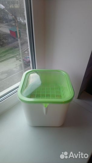 Гидропоника