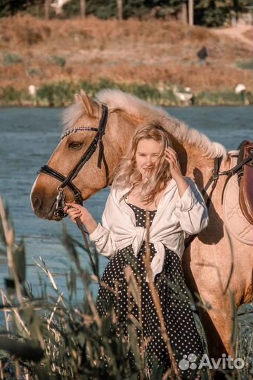 Прокат лошадей