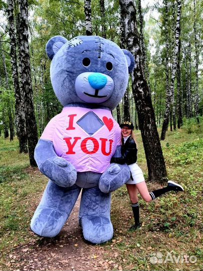 Большой медведь поздравление