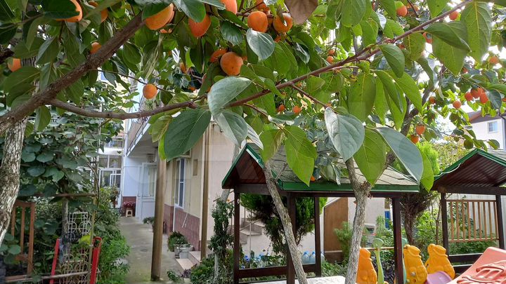 Комната 16 м², 1/3 эт.