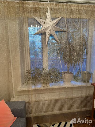 Тюль новая - 2,45x - 2,50