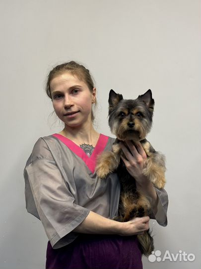 Грумер стрижка собак