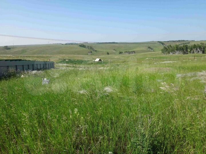 Участок 15 сот. (СНТ, ДНП)