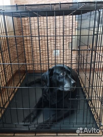 Клетка вольер для собак