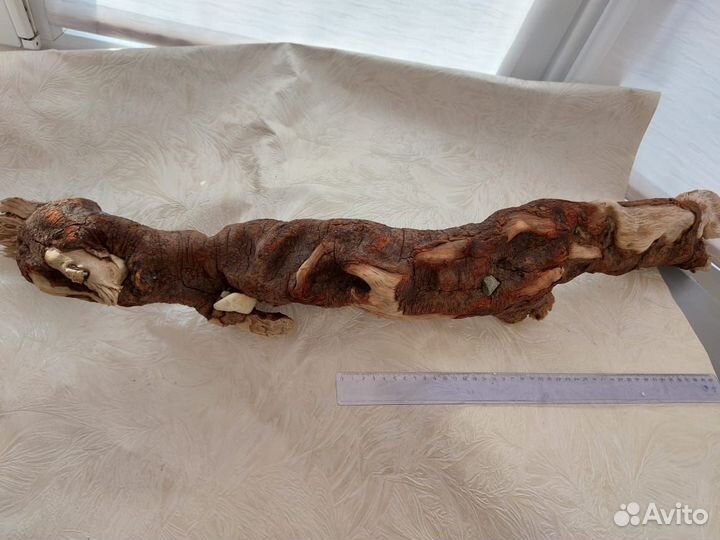 Коряга большая