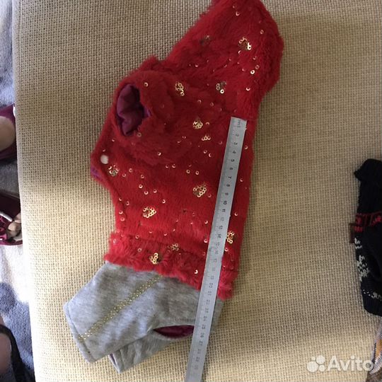 Одежда для маленькой собачки