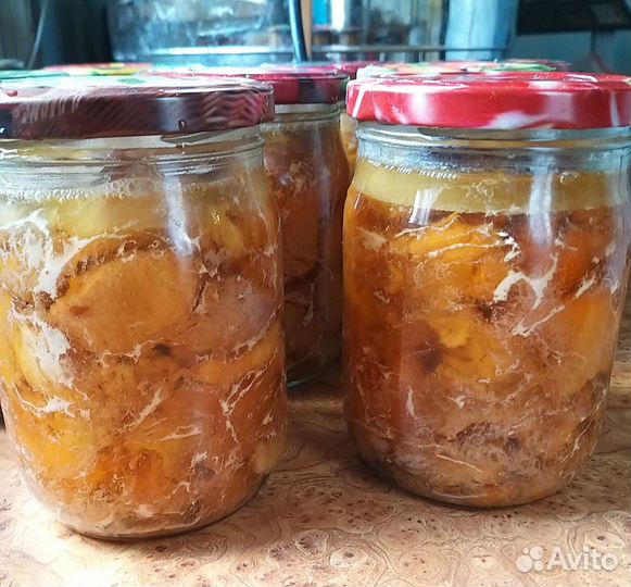 Тушенка домашняя из мяса птицы, свинины, рыбы