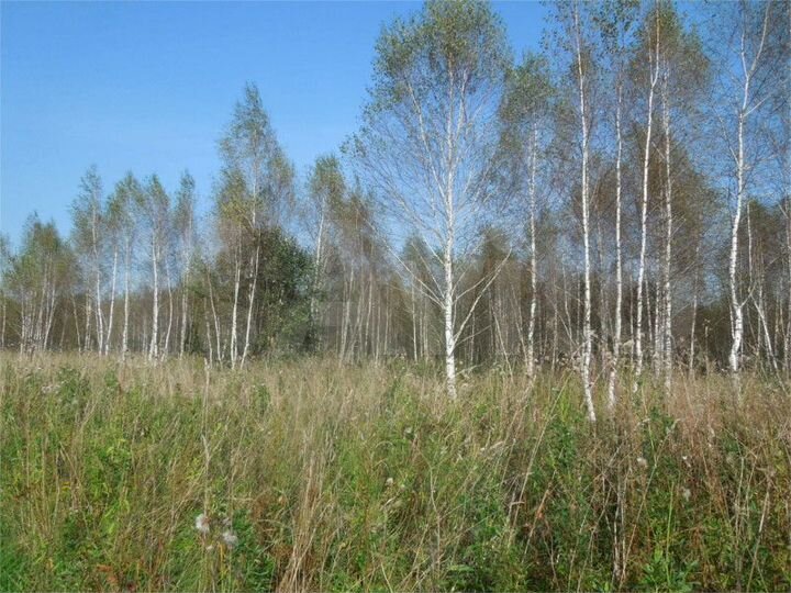 Участок 44 сот. (СНТ, ДНП)