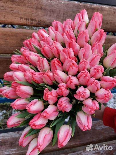 Тюльпаны к 8 марта