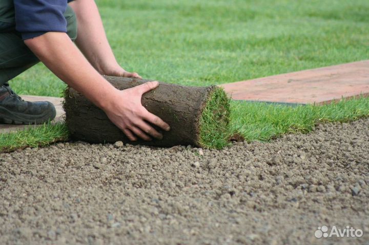 Укладка рулонного газона