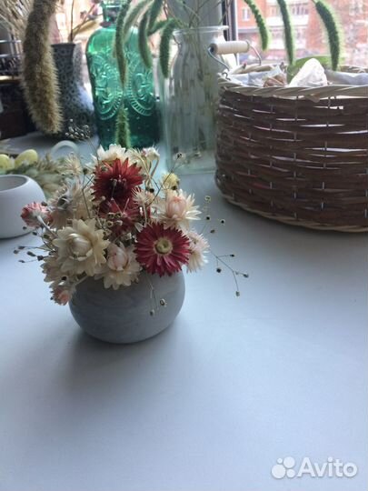 Композиция с сухоцветами в гипсовом кашпо