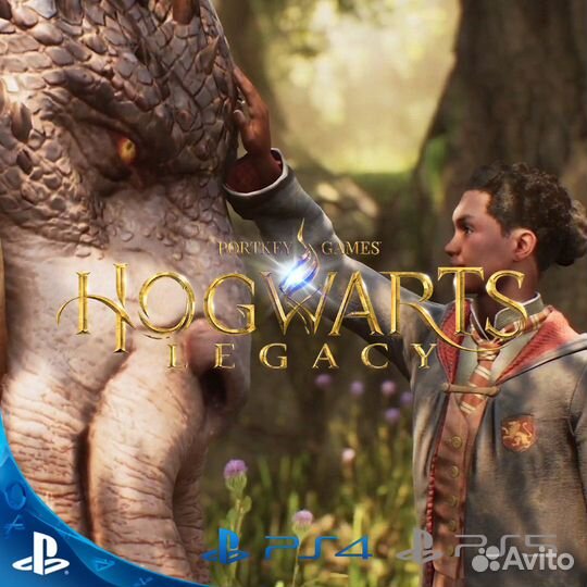 Hogwarts Legacy для PS4 и PS5