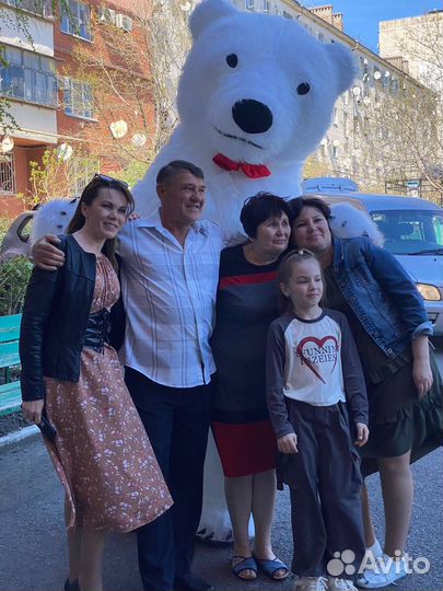 Белый Мишка /Панда / Чебурашка Поздравление