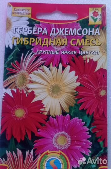 Гербера, гацания, пиретрум