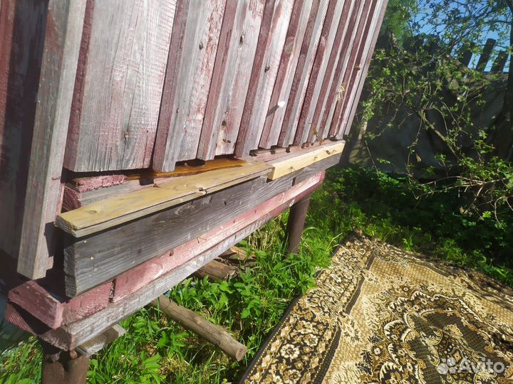 Апидомик с пчелами под ключ, пчелы, пасека