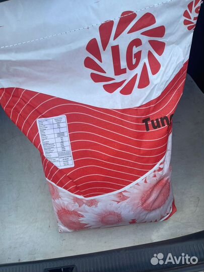 Семена подсолнечника