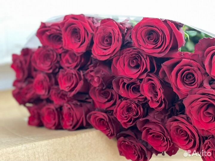 Цветы розы 101