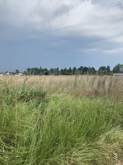 Участок 25 сот. (СНТ, ДНП)