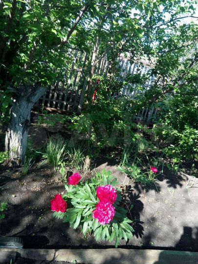 Дом 20 м² на участке 4 сот.