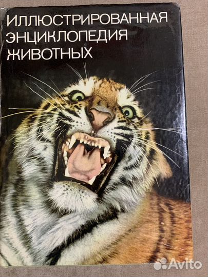 Энциклопедия животных